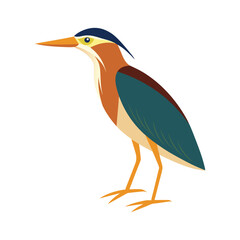 Bird design element vector illustration