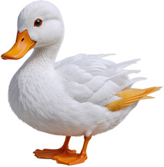 Fototapeta premium Duck Duck