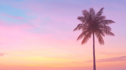 Obraz premium Majestic Palm Tree Silhouette at Sunset - Ultra-Detailed Botanical Wonders Photography