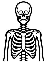 Line art of a skeleton. Vector illustration 
