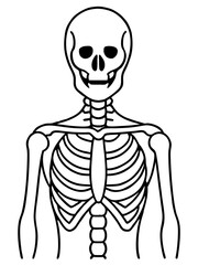 Line art of a skeleton. Vector illustration 