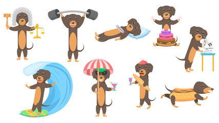 Big Set Abstract Collection Flat Cartoon Different Animal Dachshunds Dogs Vector Design Style Elements Fauna Wildlife