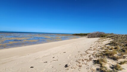 Mangrove Bay in Ningaloo, Cape Range National Park, Western Australia