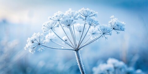 Frozen flora in a winter wonderland scene delicate ice crystals adorn the branches of a plant, showcasing the beauty of nature's artistry in the cold season
