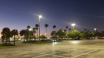 Gray sky palm tree evening city light on parking lot © Photo Wizzzard