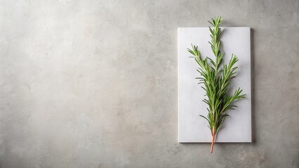 A sprig of rosemary rests on a blank white card, atop a neutral gray surface