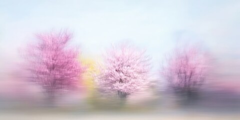 Obraz premium Blossoming trees in pastel hues, blurred for a soft-focus effect that adds a gentle and warm spring feel.