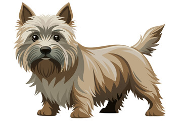 Cairn Terrier dog isolated on white background. Cute dog characters, design for print, cute cartoon vector. 