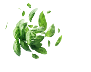 a group of leaves flying in the air