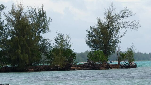 Waves flow around a tiny island strip with trees, tropical vibes