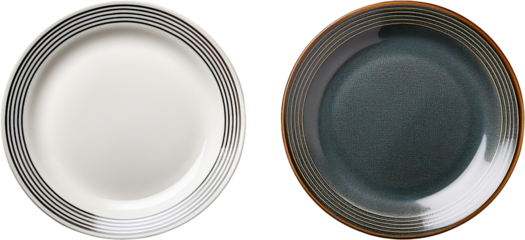 Elegant Dinner Plates Modern Tableware Ceramic Dishes White Teal Stripe Design Kitchenware