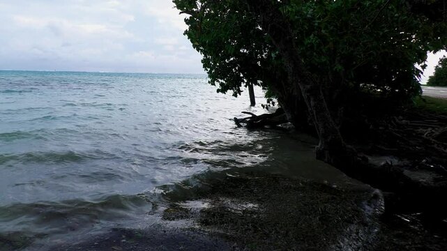 Windy afternoon at the beach, steady footage 
