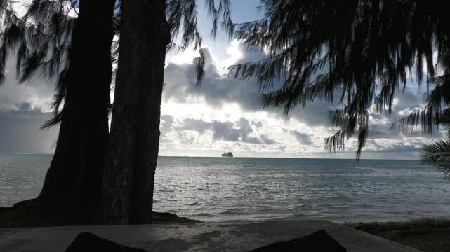 Peaceful sea framed by the silhouettes of two pine trees and pine tree leaves, ship in the distance