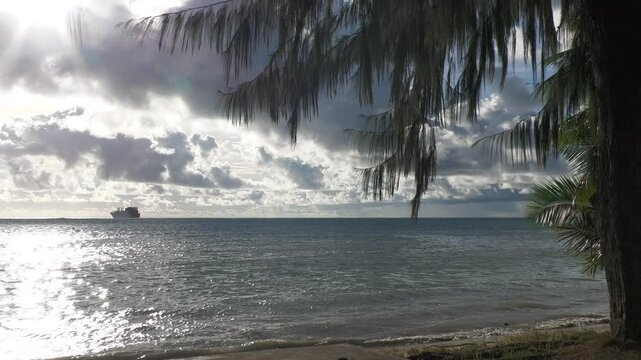 Peaceful sea with pine tree leaves swaying with the gentle breeze, ship in the distance