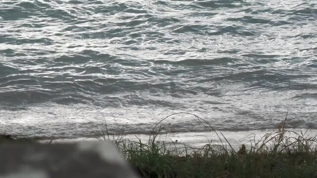 Close up footage of waves breaking toward a grassy beach, twilight shot 