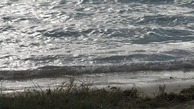 Waves breaking toward a grassy beach, twilight shot 