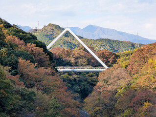 高津戸峡　はねたき橋　群馬県みどり市大間々町
