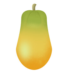 Papaya illustration in watercolor