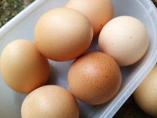 eggs in a plastic bowl