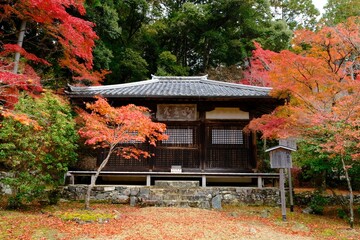 日本の伝統建築と鮮やかな紅葉