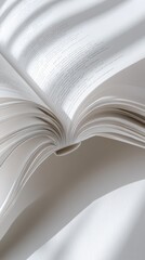 Open book with pages fanned out.