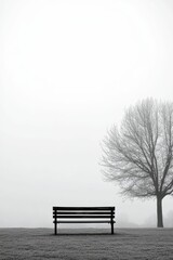 Foggy park bench, bare tree, winter solitude.