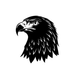 Eagle head vector illustration isolated on white background