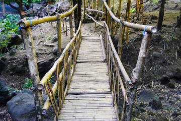 Obraz premium Rustic Bamboo Bridge in a Forested Natural Pathway
