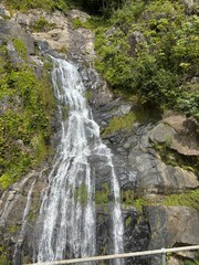 waterfall in the forest