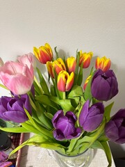 Tulips