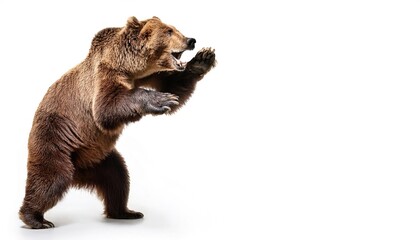 Obraz premium bear aggressive fighting representing NYSE stock market sentiment and attitude of investors as to anticipated price development in a market. Bearish means price goes down, shorting the market