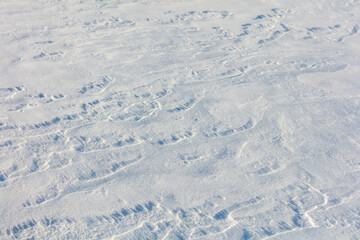 The snow is white and the ground is covered in it