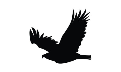 Flying Eagle Silhouette Design  And Vector Illustration. 
