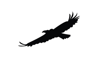 Flying Eagle Silhouette Design  And Vector Illustration. 