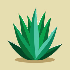 vector illustration of a cannabis
