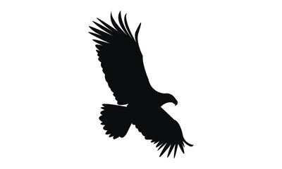 Flying Eagle Silhouette Design  And Vector Illustration. 