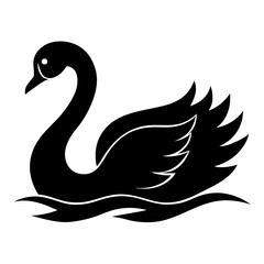 black swan vector