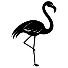 flamingo illustration