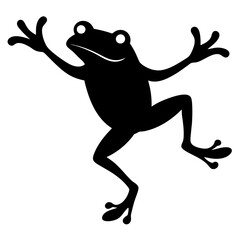 frog on a white