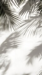 Fototapeta premium Palm leaves cast shadows on white background.