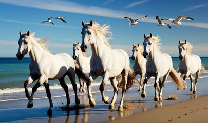 Obraz premium horses on the beach