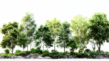 3D Render of Lush Green Trees on Rocky Hillside, Isolated on White Background