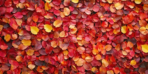 Bright and cheerful autumn background with a mix of red, yellow, and orange leaves.