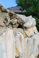 Conch shells embedded in a rustic stone seawall overlooking the blue Caribbean waters of Anguilla.
