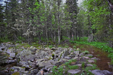 Wild hiking path to the Big Iremel Mount from Tuluk