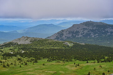 Coniferous forest on the Big Iremel mountain slopes