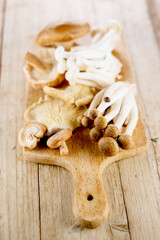 set of edible mushrooms on wooden board