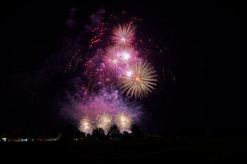 Fireworks explode in the night sky, illuminating the darkness with bright white and red sparks, creating a stunning visual celebration of New Year festivities.