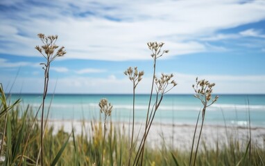 Obraz premium Summer on the beach, sunbathing