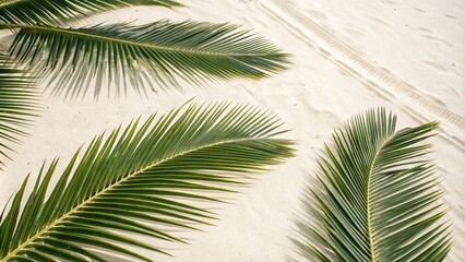 Palm leaves arranged in a diagonal pattern on a light-colored surface creating a sense of movement and energy, pattern, earthy, blue